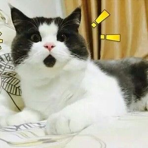 Meet your Posher, Mei wun